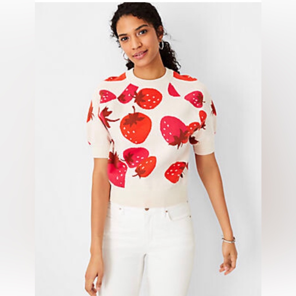 Ann Taylor Short sleeve sweater